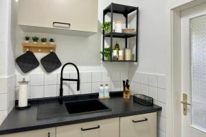 cocina con fregadero y encimera negra en Stilvolles Apartment mit Festungsblick im Zentrum en Königstein an der Elbe