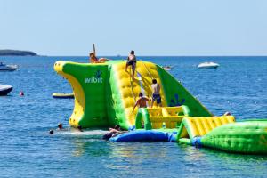 罗维尼Maistra Camping Polari Pitches的一群人,在水滑梯上 更多27张照片