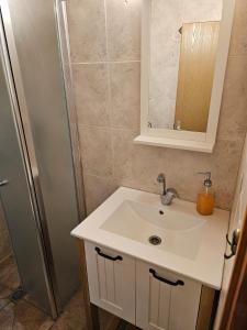 a bathroom with a sink and a shower at Zimmer In The Garden in Karmiel