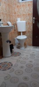 a bathroom with a toilet and a sink at La Marian pensiune restaurant in Munună