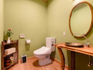 a bathroom with a toilet and a large mirror at Hanare Yado Yoshizumi in Izu