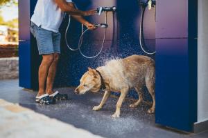 Maistra Camping Amarin Pitches في روفينج: رجل يقوم بغسل كلب تحت الدش