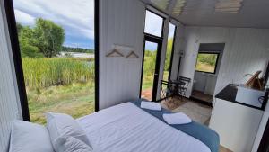 a bedroom with a bed and a large window at Under the Vines in Earnscleugh in Earnscleugh