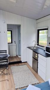 uma cozinha com um lavatório e uma bancada em Under the Vines in Earnscleugh em Earnscleugh