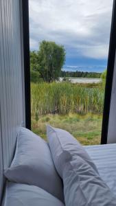 a bed with pillows in a room with a window at Under the Vines in Earnscleugh in Earnscleugh