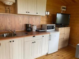 a kitchen with a sink and a microwave and a tv at Domek letniskowy Radomice in Wleń
