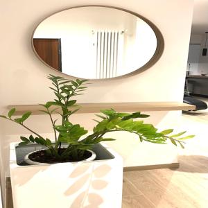 ein Badezimmer mit einem Spiegel und einer Topfpflanze in der Unterkunft Huis 8 in Pescara