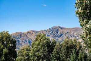 a group of trees with mountains in the background at Tiny Home on 1 Acre Land in Picturesque Hawea Flat in Hawea Flat