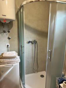 杜加雷薩的住宿－Family & Friends apartments - Mrežnica，浴室里设有玻璃门淋浴