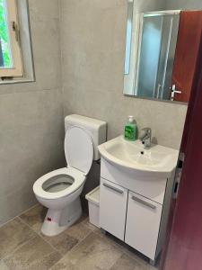 uma casa de banho com um WC e um lavatório em Family & Friends apartments - Mrežnica em Duga Resa