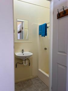 een badkamer met een wastafel, een spiegel en een bad bij North Gregory Hotel in Winton