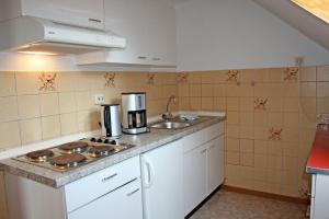 eine Küche mit Spüle und Herd oberen Backofen in der Unterkunft Ferienhof Serck - Große Wohnung in Fehmarn