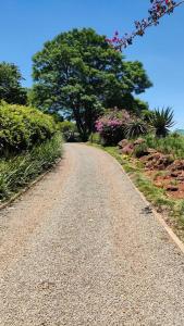 a dirt road with a tree and flowers on it at Serenity Alpaca Guest Farm in Lions River +8 photos