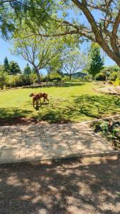 a horse standing in a field of grass at Serenity Alpaca Self Catering Cottage in Lions River +8 photos