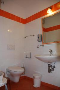 a bathroom with a sink and a toilet and a mirror at Affittacamere Dai Stoneri in Cavareno