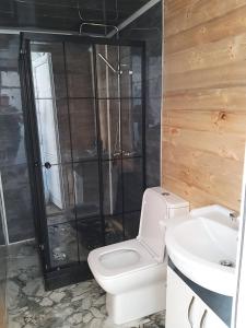 a bathroom with a toilet and a sink at Dilijan Glamping in Dilijan