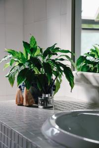 Fotografie z fotogalerie ubytování Tiffany's Beach House in Salt Rock v destinaci Sheffield Beach + 35 fotografií