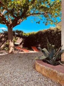 a park with a tree and a table and a bench at Charmante maisonnette 4pers in Canet +5 photos