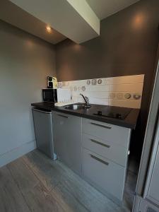 Köök või kööginurk majutusasutuses Studio vue sur Loire +10 fotot