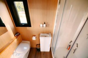 a small bathroom with a toilet and a shower at Rimu View 2 in Ruatapu