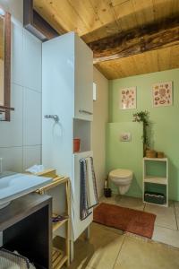 uma casa de banho com um WC e um lavatório em Le Georges Cuvier em Montbéliard