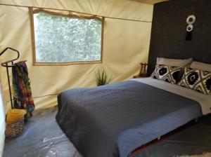 a bedroom with a bed in a tent at Glamping Casa Soarelui in Vama Veche