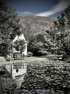 a bench sitting next to a pond with a building at The Volmoed Trust in Hermanus