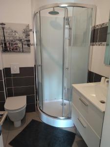 een badkamer met een douche, een toilet en een wastafel bij la maison de Valbois in Varvinay