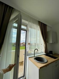 a small kitchen with a sink and a window at Casa Bursucilor in Moşniţa Nouă