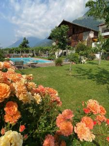un jardín con flores y una piscina en Garni-Hotel Tritscherhof, en Tirolo