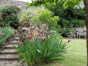um jardim com uma parede de pedra e algumas flores em Casa con vista mozzafiato su Civita di Bagnoregio em Lubriano