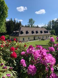 a large house with pink flowers in front of it at Itha’s secret escape in Langschlag