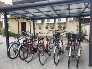 Jízda na kole v ubytování Hotel Diana nebo okolí