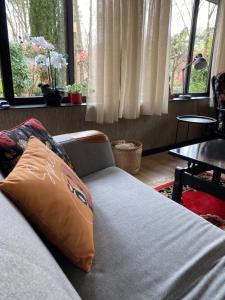 a couch with a pillow on it in a living room at Spechthuisje, 4-pers bungalow in Rekem in Lanaken