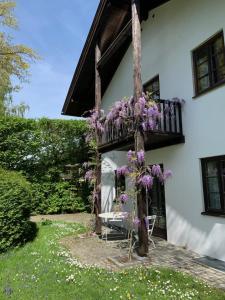 a house with a balcony with purple flowers at Ferienwohnung Tausendfreund am Chiemsee in Breitbrunn am Chiemsee