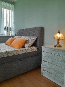 um quarto com uma cama com uma cómoda e um candeeiro em Cozy Apartment em Alūksne