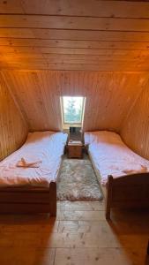 two beds in a wooden room with a window at Hidden Valley in Băişoara