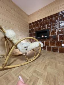 a cat sitting in a rocking chair in a room with a fireplace at Izba na Witkówce in Nowy Targ