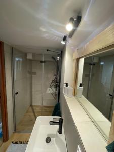 a bathroom with a sink and a shower at Izba na Witkówce in Nowy Targ