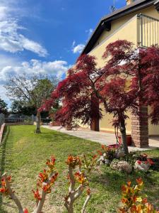 un bâtiment avec des arbres rouges et des fleurs dans une cour dans l'établissement CASA GIULIA, à Monzambano