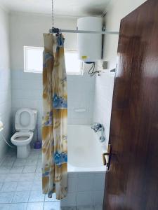 a bathroom with a toilet and a shower curtain at 3 Bedroom Villa with Garden in Addis Ababa Bole in Addis Ababa