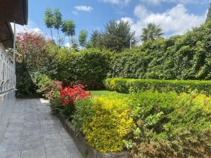 ogród z kolorowymi kwiatami i krzakami w obiekcie 3 Bedroom Villa with Garden in Addis Ababa Bole w Addis Abebie