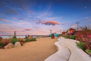 a walkway next to the beach with people and flowers at Roker Sea Front Entire Modern One Bed Apartment in Sunderland