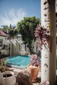 a view of a swimming pool and some plants at Ami Vine House in Cape Town