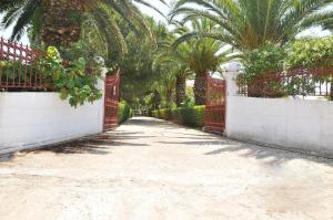 a driveway with palm trees and a red fence at Villa Pami in Almiros Beach