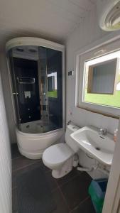 a bathroom with a toilet and a sink at Domek 4 -os Szwedzki w Campark Service "Zielony Zakątek" in Mrągowo