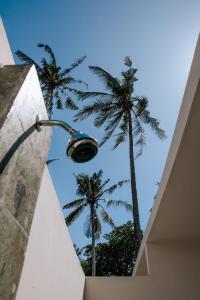 Fotografie z fotogalerie ubytování Pebble & Fins Bali Dive Resort v destinaci Tulamben