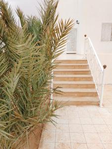 Una escalera con una planta delante en Bella casa, en Tataouine