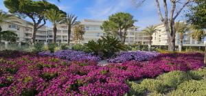 um jardim com flores roxas em frente a um edifício em Appartement Cannes vue mer 4 pers avec piscines em Cannes
