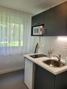 a kitchen with a sink and a microwave at Twenty Business Flats Jouy-en-Josas in Jouy-en-Josas